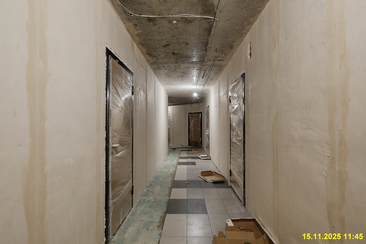 15 ноября 2025