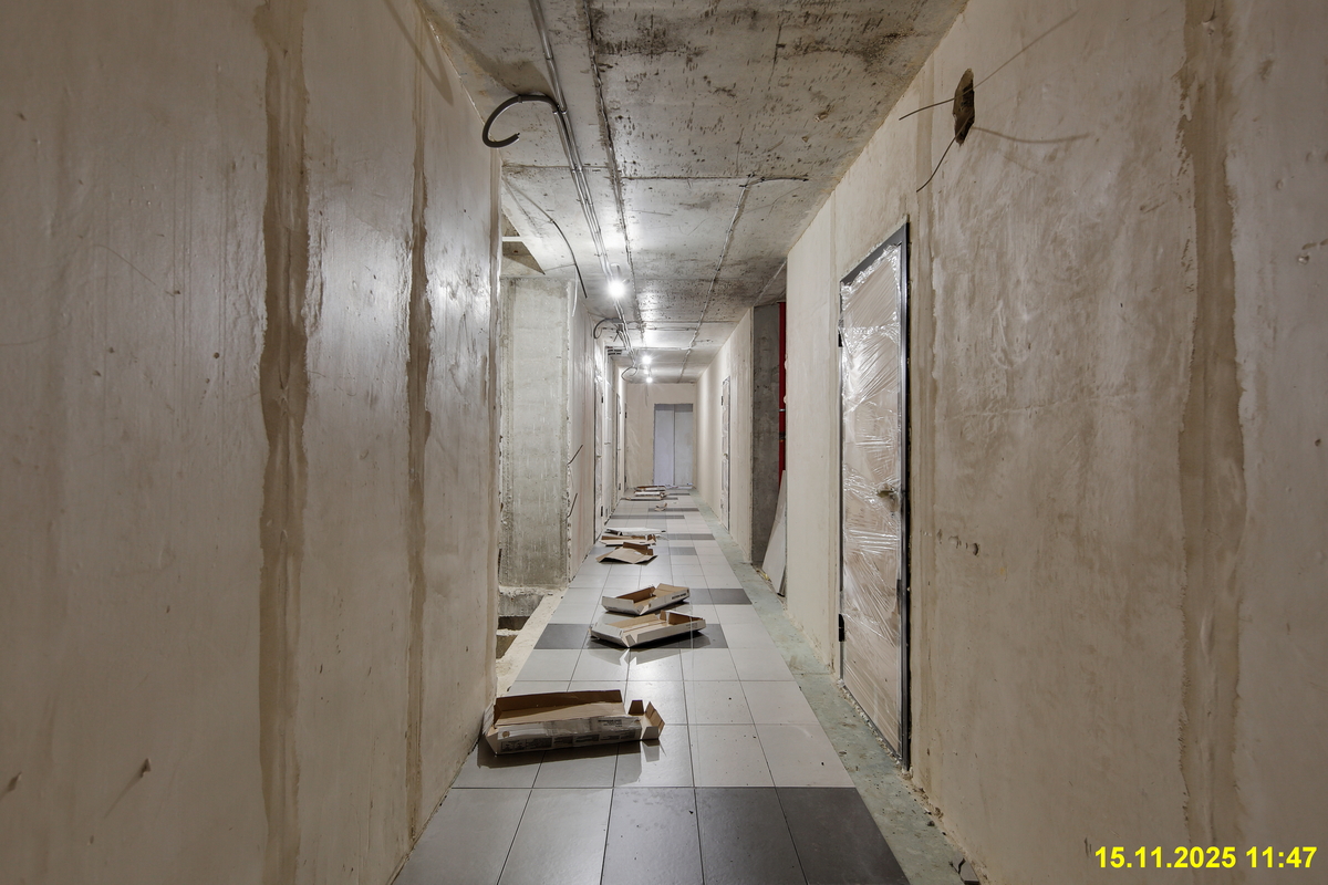 15 ноября 2025