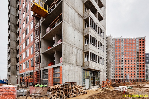 31 октября 2025